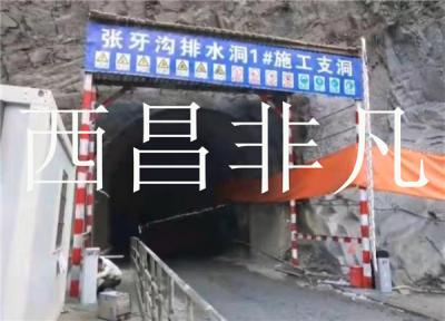 涼山彝族自治州中水四局甘孜州孟底溝水電站閘機(jī)勞務(wù)門禁系統(tǒng)